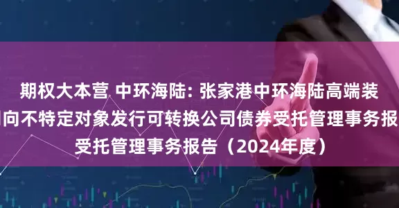 期权大本营 中环海陆: 张家港中环海陆高端装备股份有限公司向不特定对象发行可转换公司债券受托管理事务报告（2024年度）