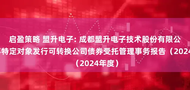 启盈策略 盟升电子: 成都盟升电子技术股份有限公司向不特定对象发行可转换公司债券受托管理事务报告（2024年度）