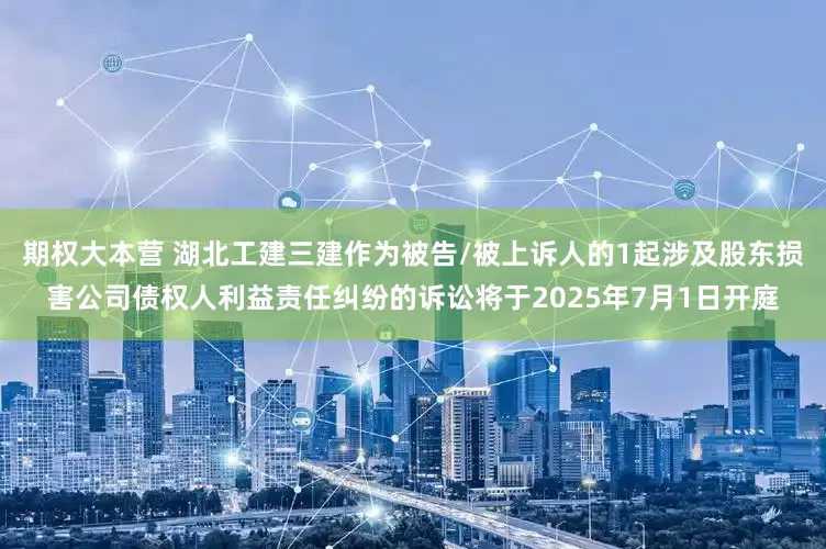 期权大本营 湖北工建三建作为被告/被上诉人的1起涉及股东损害公司债权人利益责任纠纷的诉讼将于2025年7月1日开庭