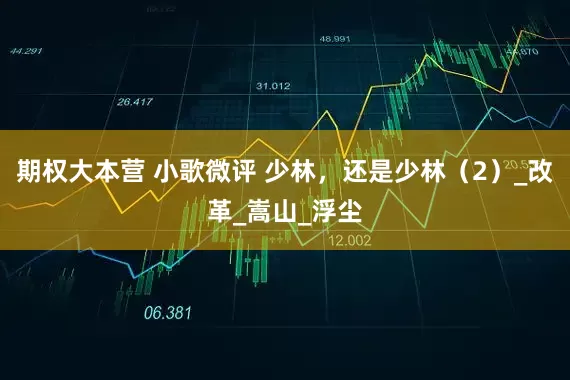 期权大本营 小歌微评 少林，还是少林（2）_改革_嵩山_浮尘