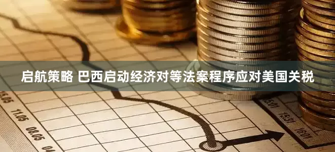 启航策略 巴西启动经济对等法案程序应对美国关税